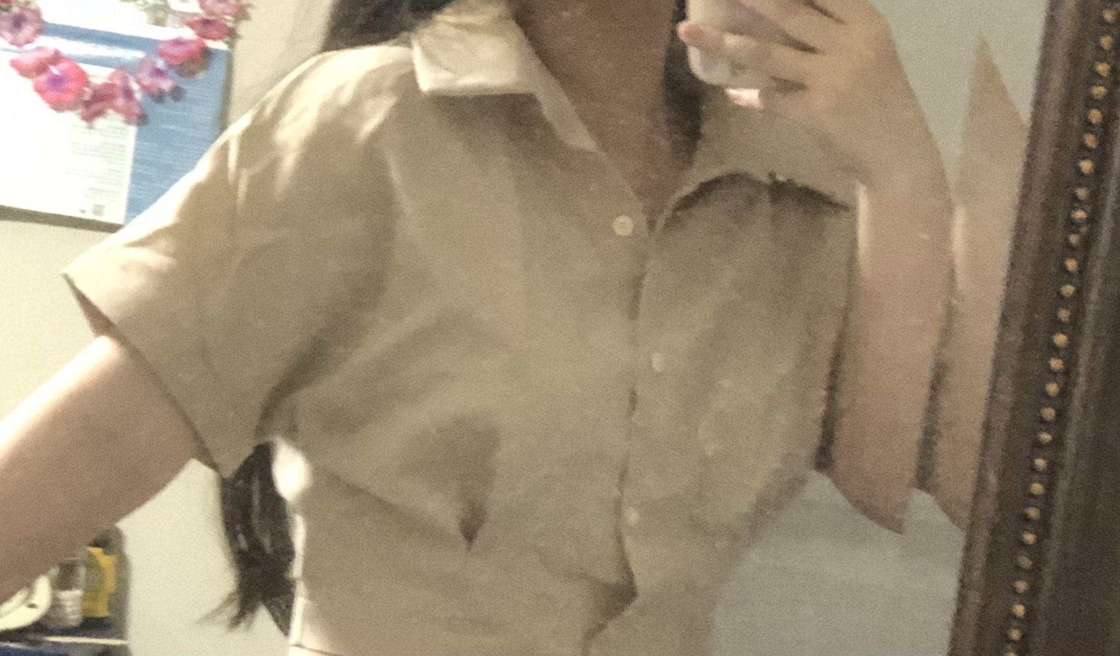 Collar Button Down Blouse - Cider