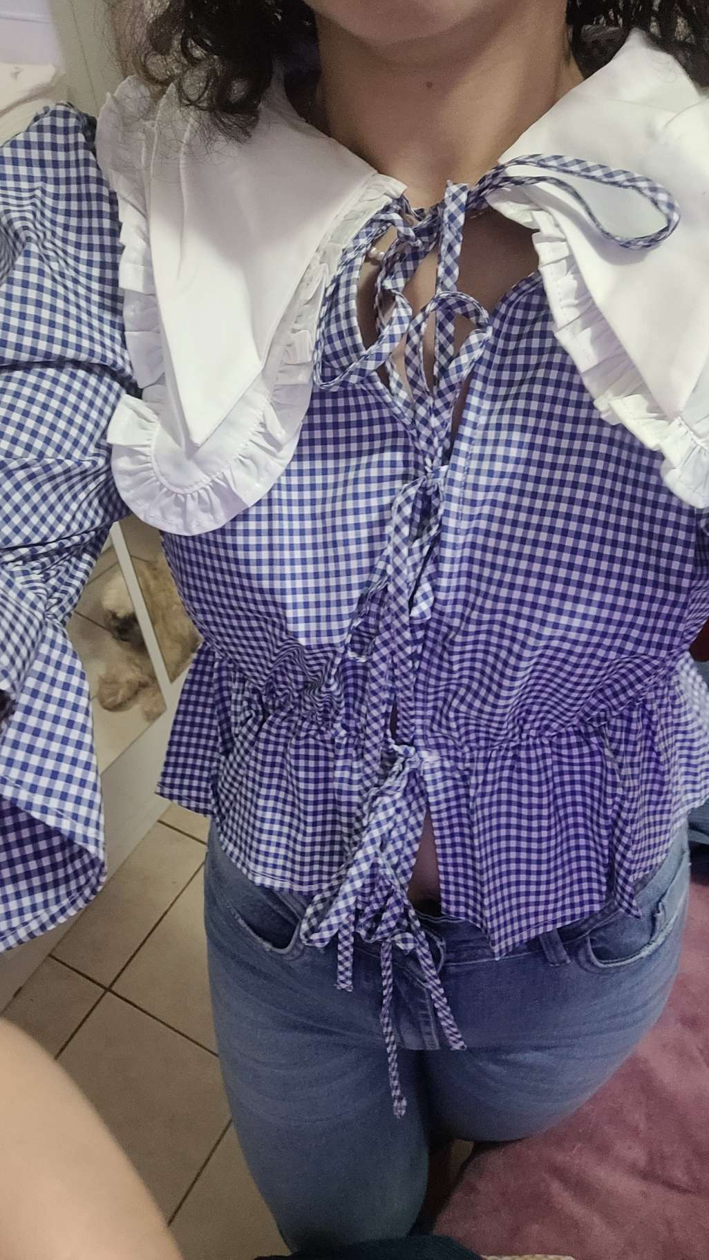 Puritan Collar Blue Checker Blouse