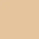 color display image