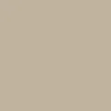 color display image