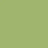 color display image