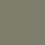 color display image