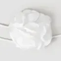 color display image