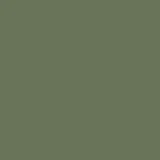 color display image