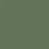 color display image