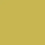 color display image