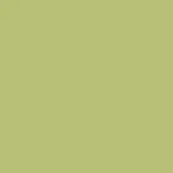 color display image