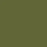 color display image