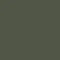 color display image