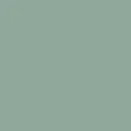 color display image