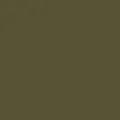 color display image