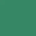 color display image