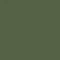 color display image