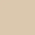 color display image