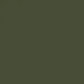 color display image