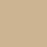 color display image