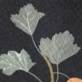 color display image