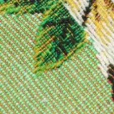 color display image