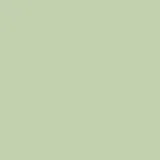 color display image