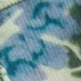 color display image