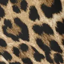 Woven Boat Neck Leopard Print Zipper Mini Dress For Music Festival/Live House Party/Clubbing