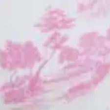 color display image