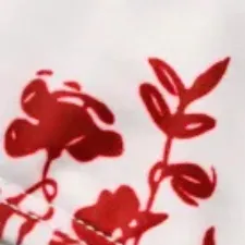 color display image