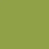 color display image