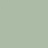 color display image