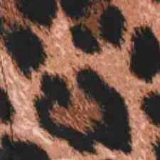 color display image