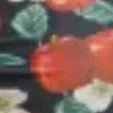 color display image