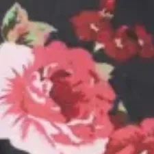 color display image