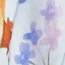 color display image