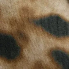 color display image