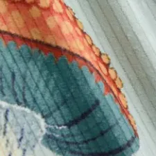 color display image