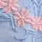 color display image
