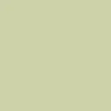 color display image