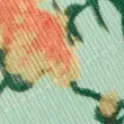color display image