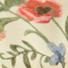 color display image