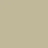 color display image