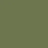 color display image
