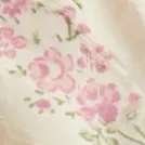 color display image
