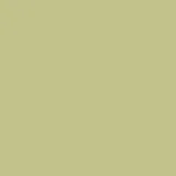 color display image