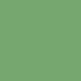 color display image