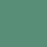 color display image