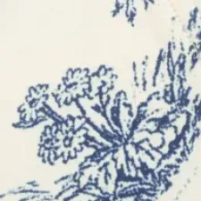 color display image