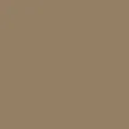 color display image