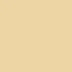 color display image