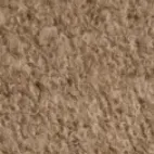 color display image