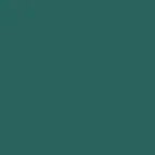 color display image